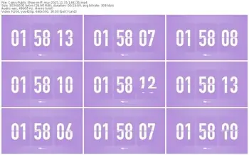 cams-ff_mur-11-15-2025-14-41-35