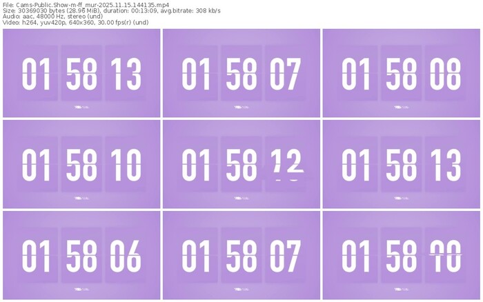 cams-ff_mur-11-15-2025-14-41-35