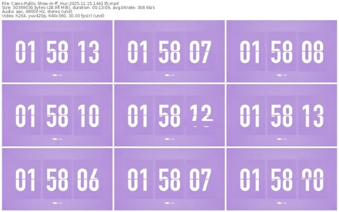 cams-ff_mur-11-15-2025-14-41-35
