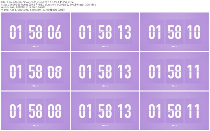 cams-ff_mur-11-15-2025-14-59-57