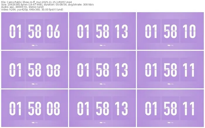 cams-ff_mur-11-15-2025-14-59-57