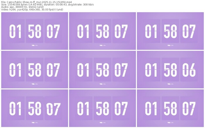 cams-ff_mur-11-15-2025-15-18-50