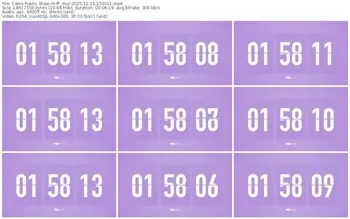 cams-ff_mur-11-15-2025-15-30-11