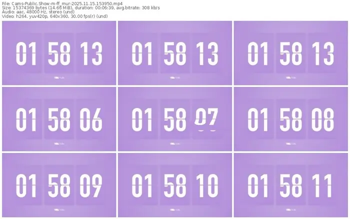 cams-ff_mur-11-15-2025-15-39-50