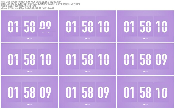 cams-ff_mur-11-15-2025-16-12-22