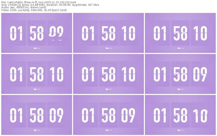 cams-ff_mur-11-15-2025-16-12-22