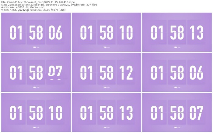 cams-ff_mur-11-15-2025-16-24-16