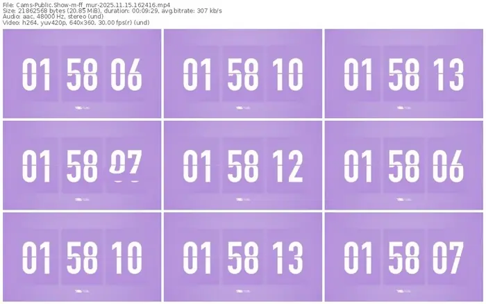cams-ff_mur-11-15-2025-16-24-16