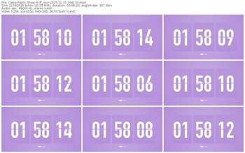 cams-ff_mur-11-15-2025-16-41-33