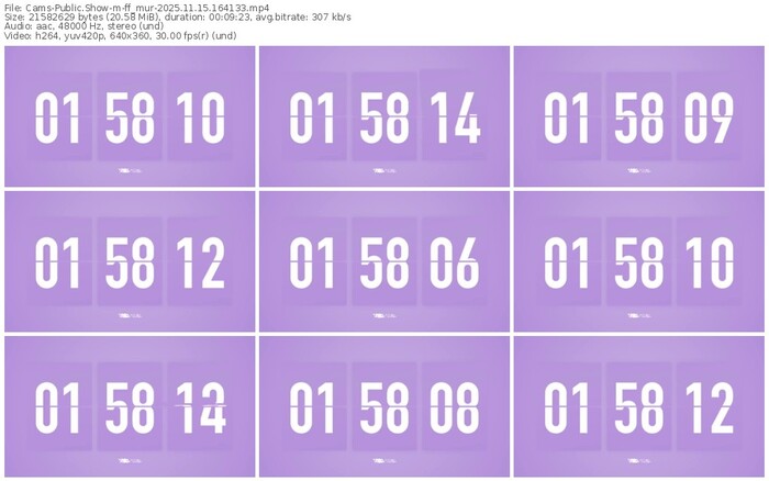 cams-ff_mur-11-15-2025-16-41-33