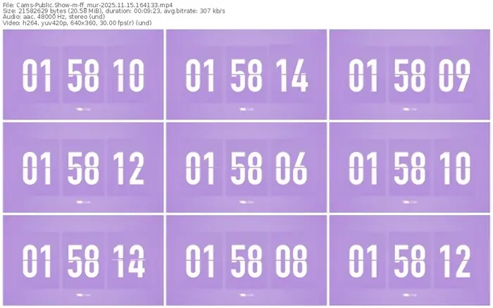 cams-ff_mur-11-15-2025-16-41-33