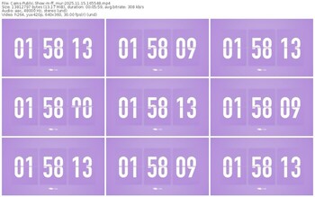 cams-ff_mur-11-15-2025-16-55-48