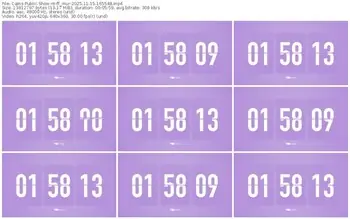 cams-ff_mur-11-15-2025-16-55-48