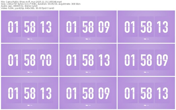 cams-ff_mur-11-15-2025-16-55-48