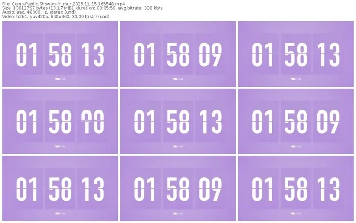 cams-ff_mur-11-15-2025-16-55-48