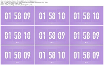 cams-ff_mur-11-15-2025-17-01-47