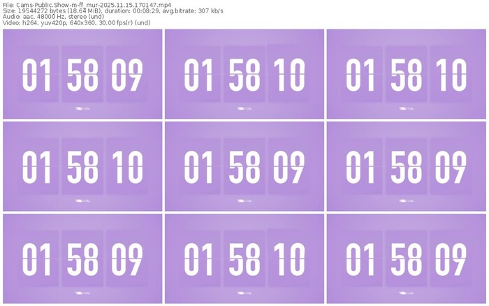 cams-ff_mur-11-15-2025-17-01-47