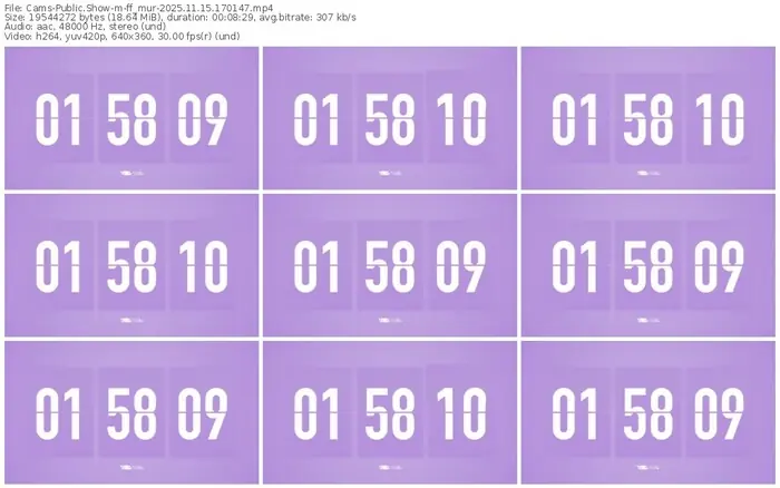 cams-ff_mur-11-15-2025-17-01-47