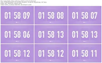 cams-ff_mur-11-15-2025-17-17-55