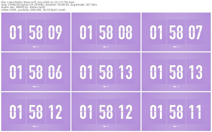 cams-ff_mur-11-15-2025-17-17-55
