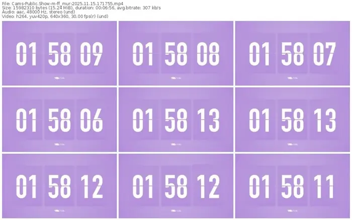 cams-ff_mur-11-15-2025-17-17-55