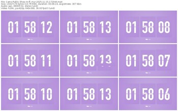 cams-ff_mur-11-15-2025-17-29-44