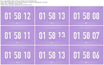 cams-ff_mur-11-15-2025-17-29-44