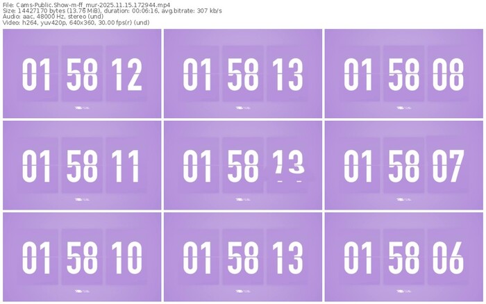 cams-ff_mur-11-15-2025-17-29-44