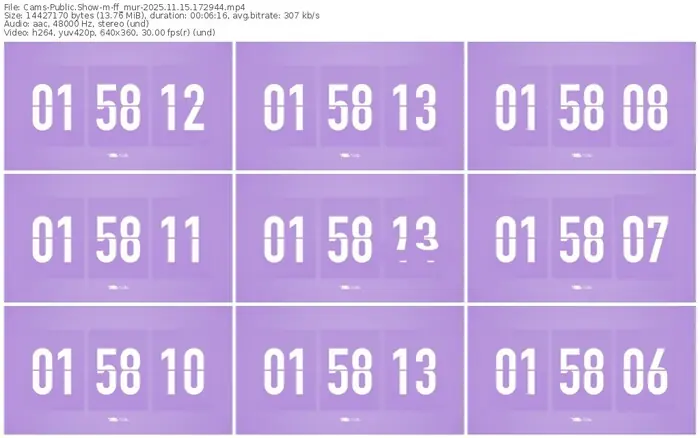 cams-ff_mur-11-15-2025-17-29-44