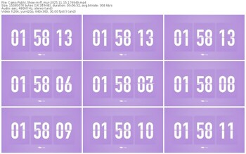 cams-ff_mur-11-15-2025-17-49-49