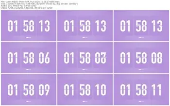 cams-ff_mur-11-15-2025-17-49-49