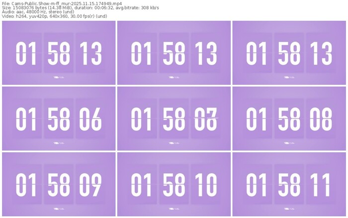 cams-ff_mur-11-15-2025-17-49-49
