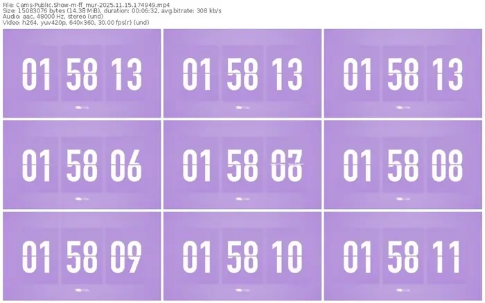 cams-ff_mur-11-15-2025-17-49-49