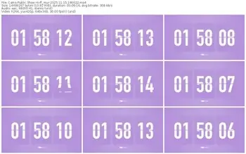 cams-ff_mur-11-15-2025-18-00-22