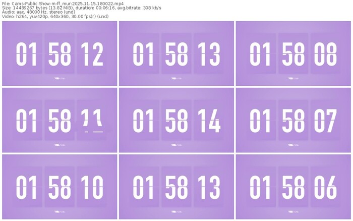 cams-ff_mur-11-15-2025-18-00-22