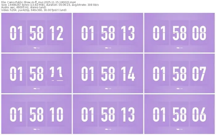 cams-ff_mur-11-15-2025-18-00-22