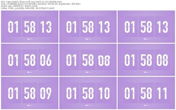 cams-ff_mur-11-15-2025-18-24-56