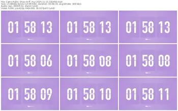 cams-ff_mur-11-15-2025-18-24-56