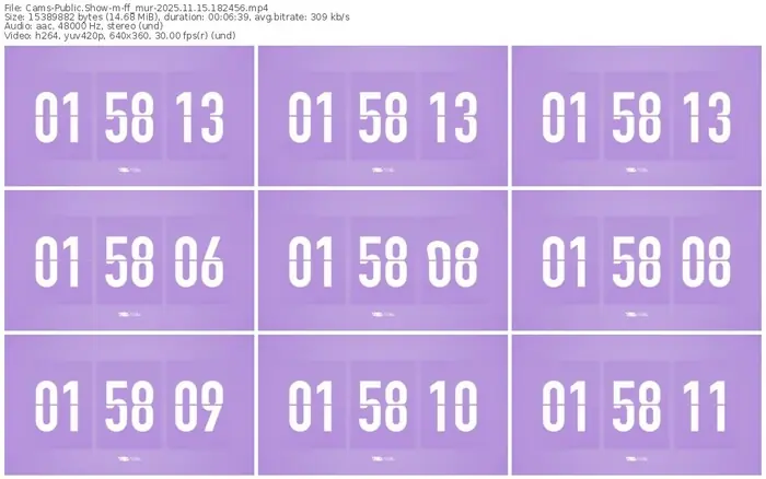 cams-ff_mur-11-15-2025-18-24-56