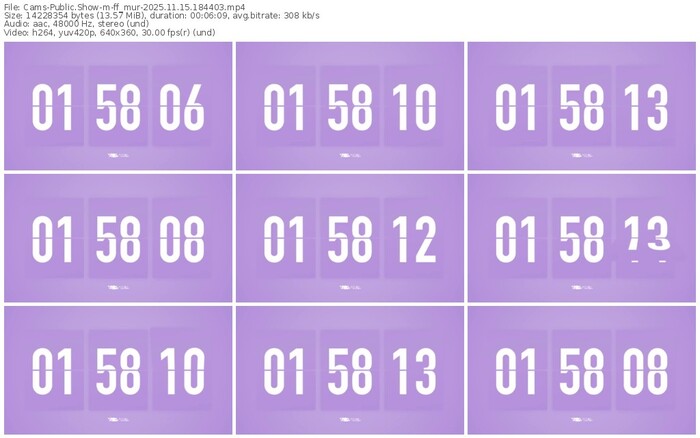 cams-ff_mur-11-15-2025-18-44-03