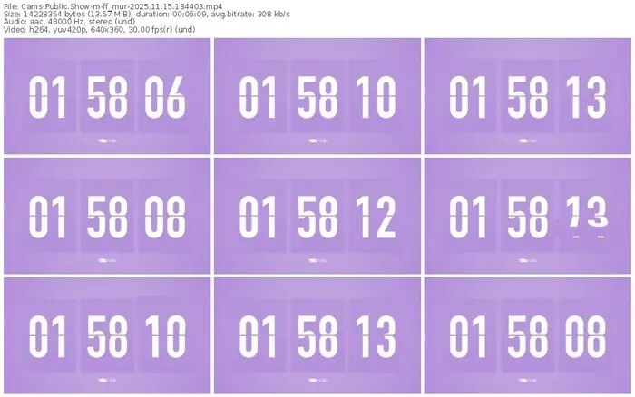 cams-ff_mur-11-15-2025-18-44-03