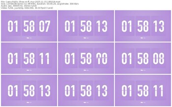 cams-ff_mur-11-15-2025-18-50-18