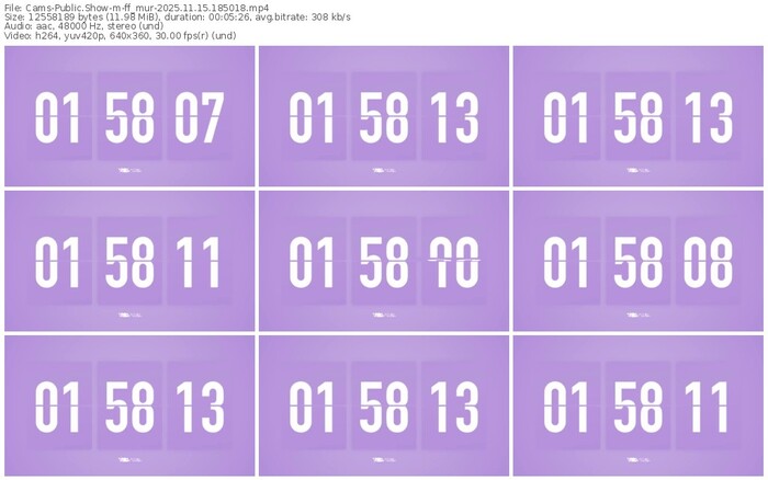 cams-ff_mur-11-15-2025-18-50-18