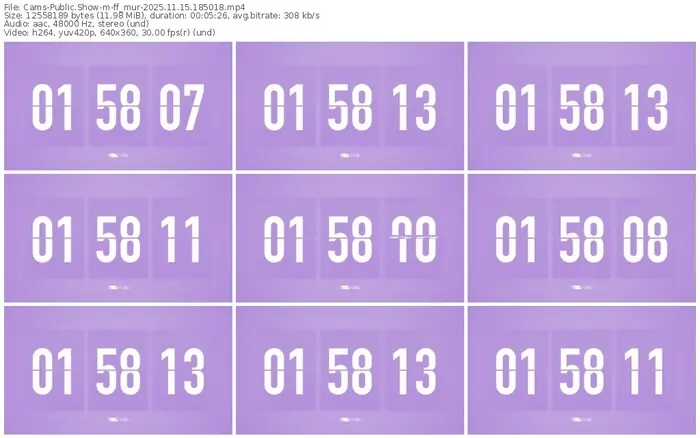cams-ff_mur-11-15-2025-18-50-18