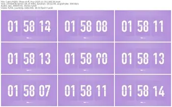 cams-ff_mur-11-15-2025-19-01-36