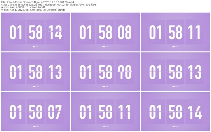 cams-ff_mur-11-15-2025-19-01-36