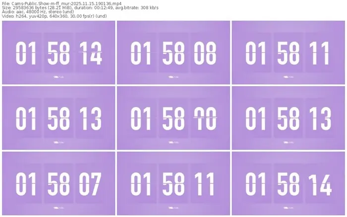 cams-ff_mur-11-15-2025-19-01-36