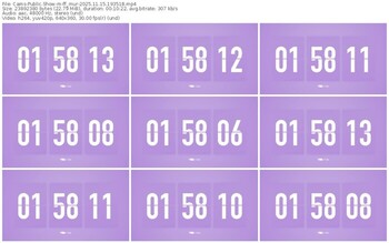 cams-ff_mur-11-15-2025-19-35-18