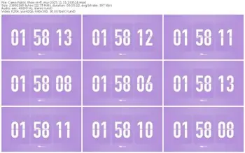 cams-ff_mur-11-15-2025-19-35-18