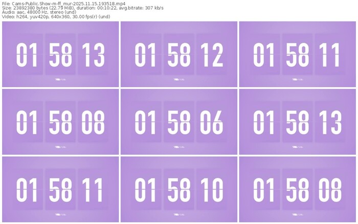 cams-ff_mur-11-15-2025-19-35-18